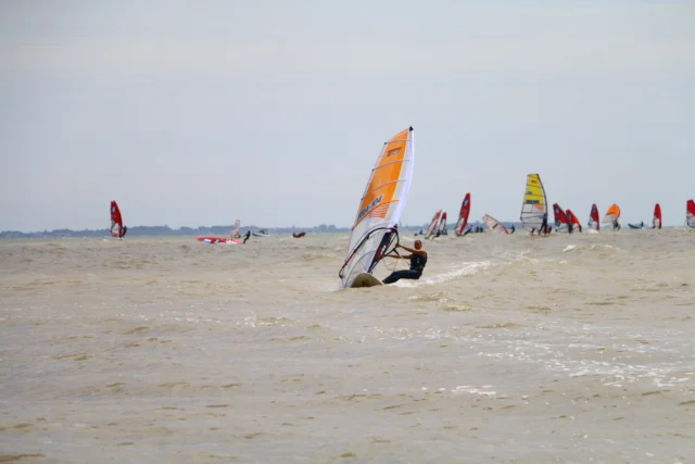 IMG_3077.JPG