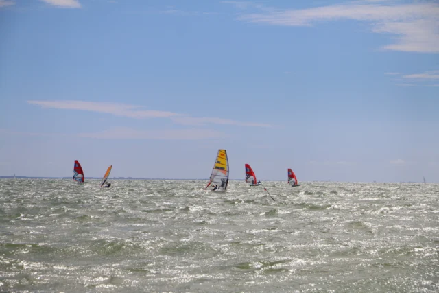 IMG_3184.JPG